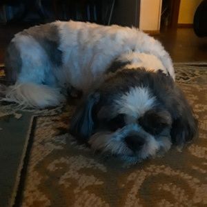 Meet your Posher, Maceo